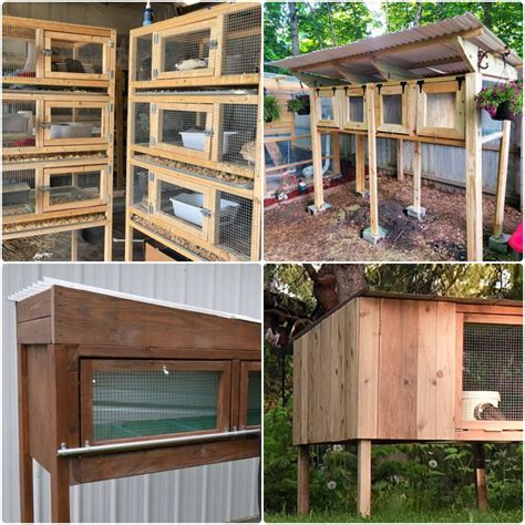 best quail coop design|20 Homemade DIY Quail Cage Plans and Ideas